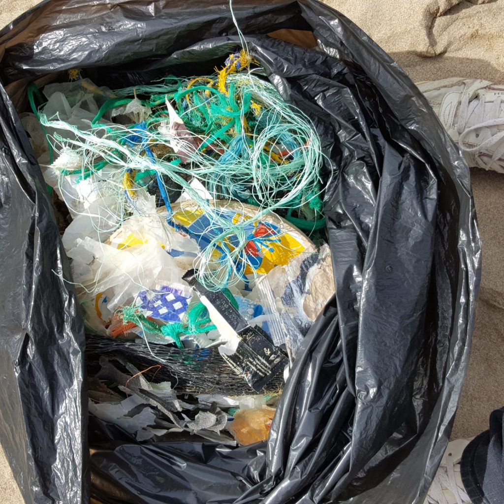 Beach Cleans