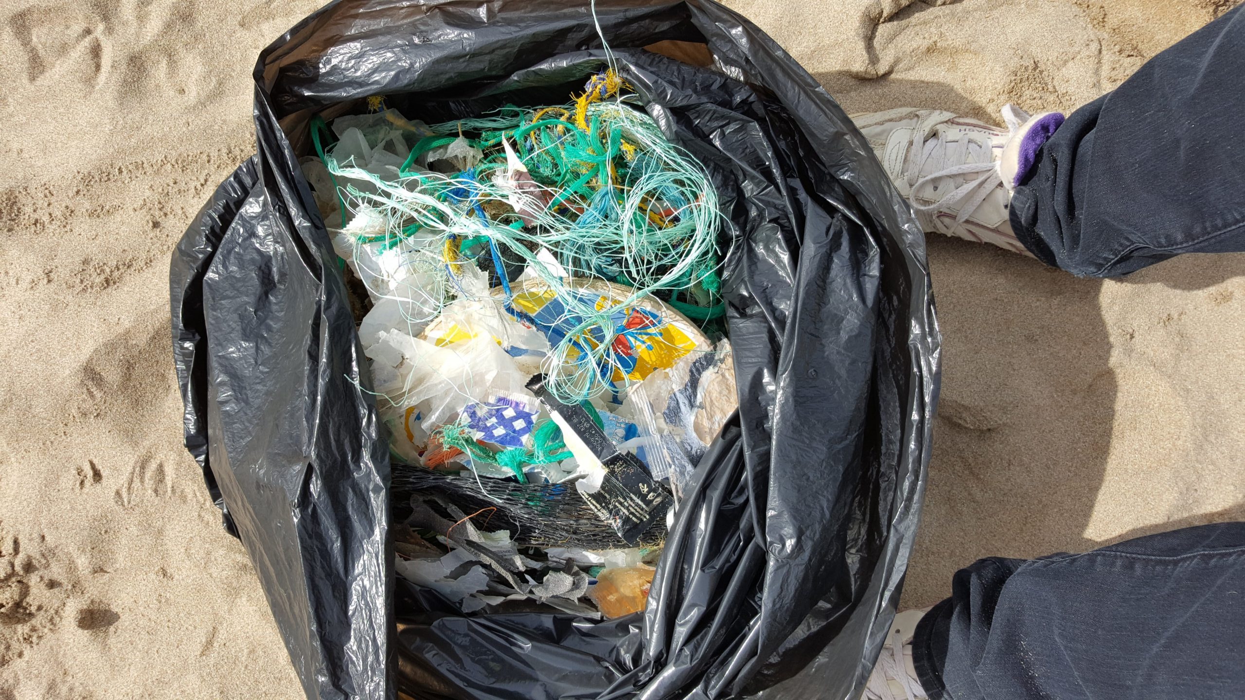 Beach Cleans