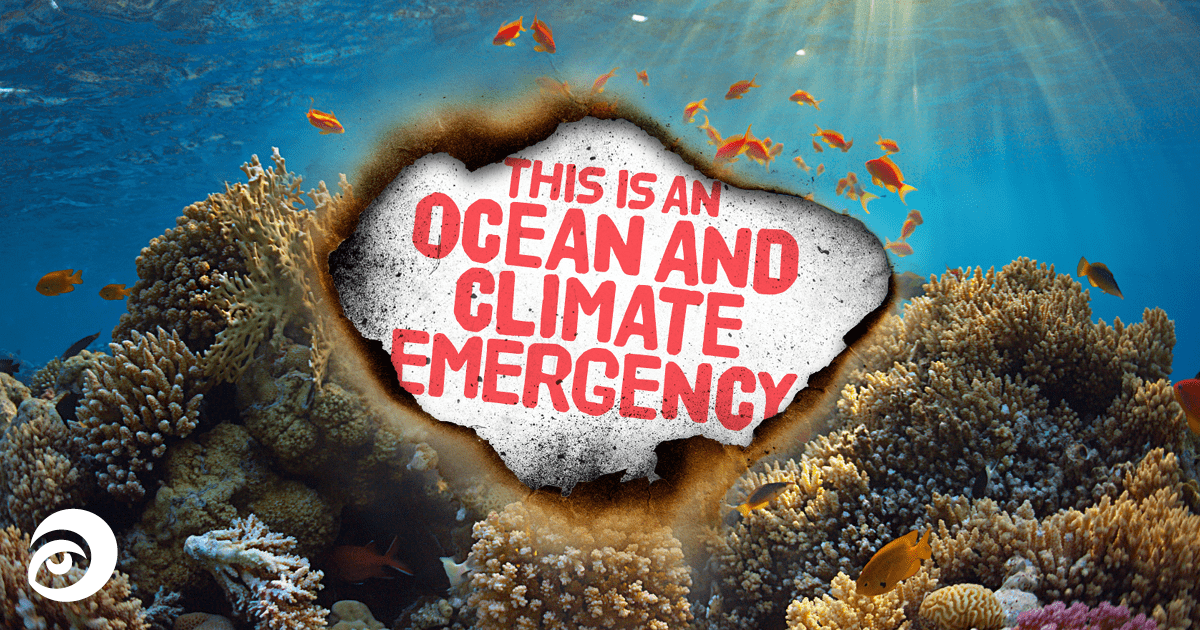 Ocean & Climate emergency