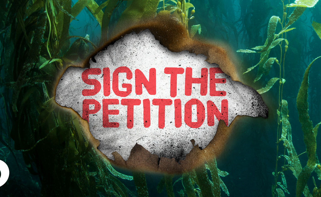 Sign The Petition placard surrounded by kelp